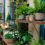 Home Decor and Garden