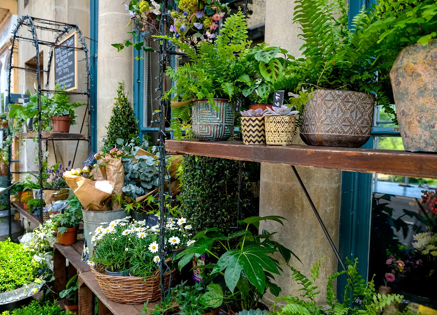 Home Decor and Garden