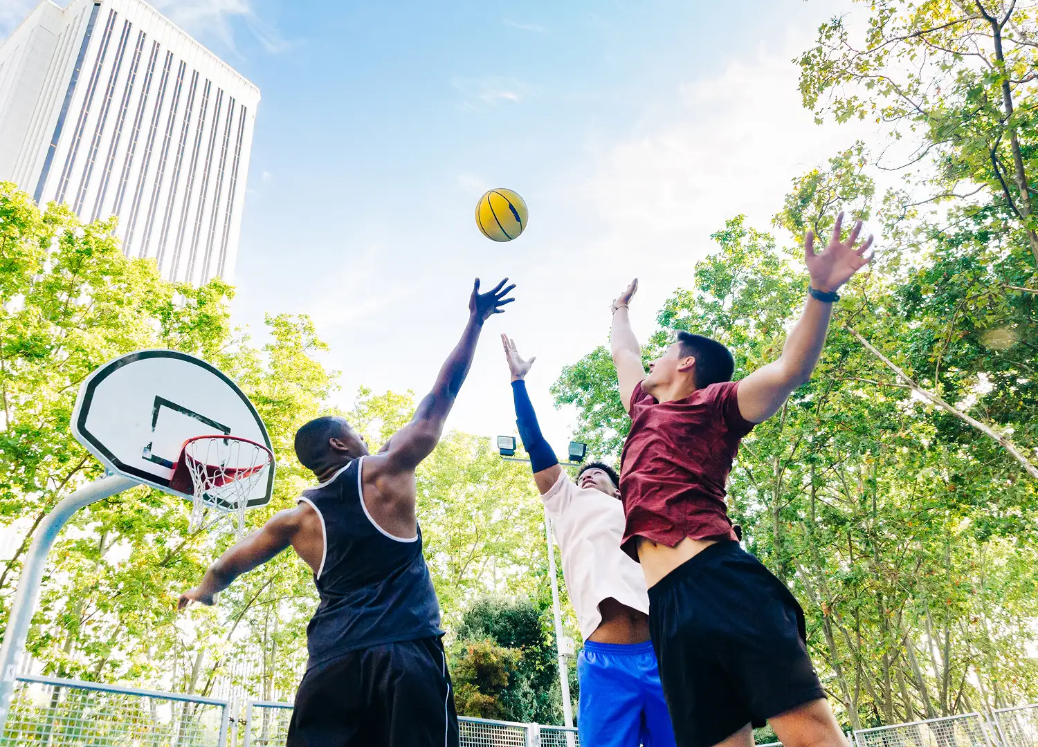 Sports and Recreation